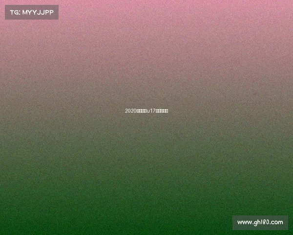 2020年河南省u17足球锦标赛